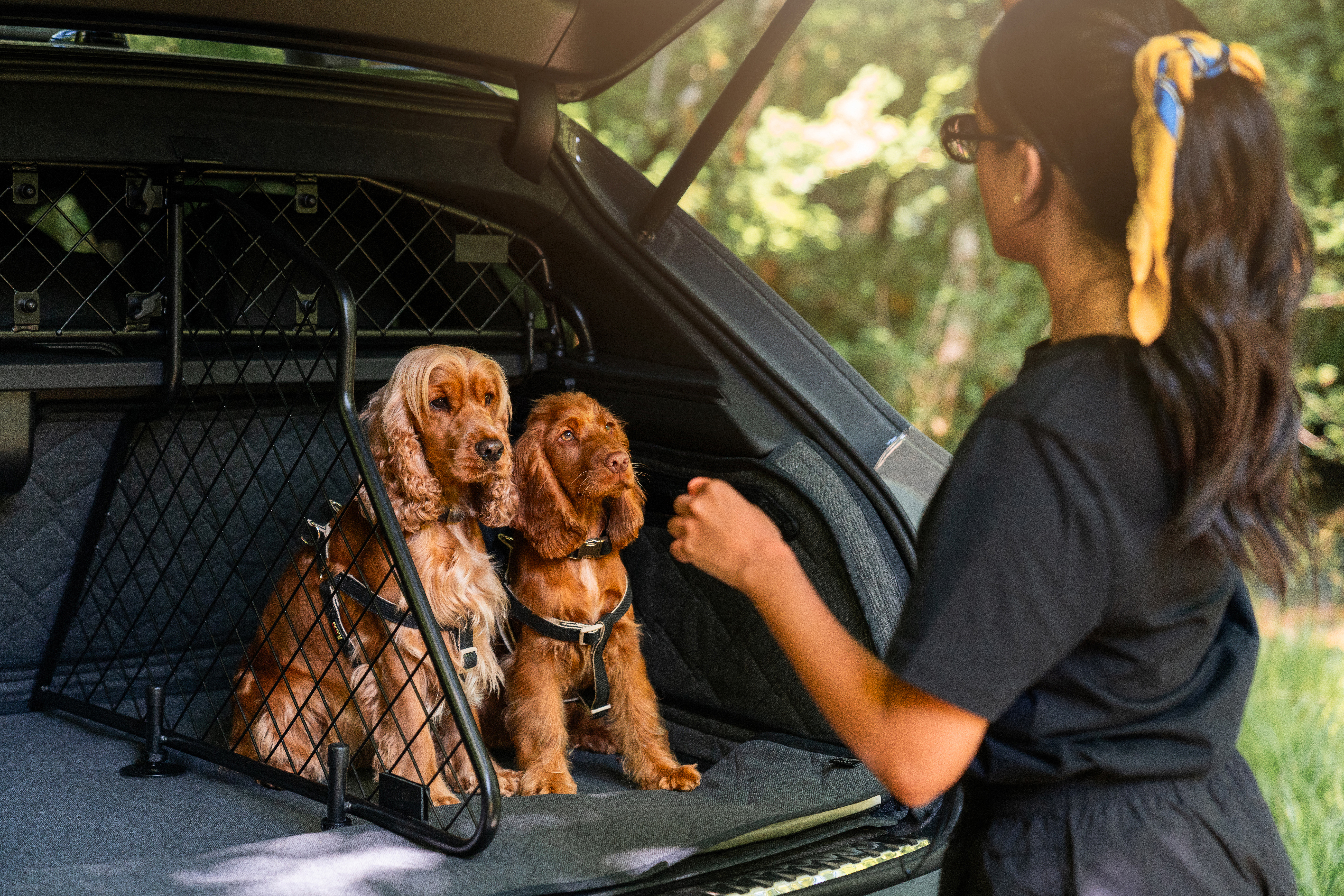Bentley Mulliner Dogs