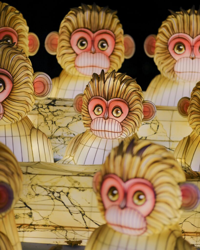 Japan Monkey Art